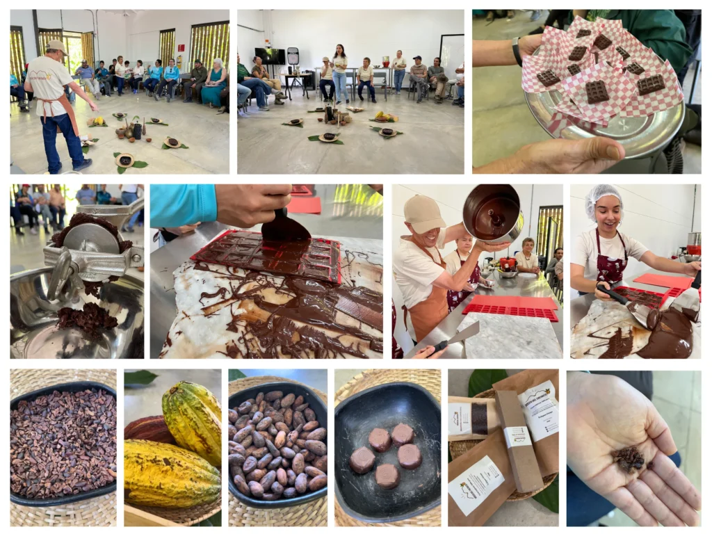 Collage Cacao Ceremonial - Primer Encuentro Red de Reservas CICAPE