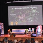 Proyecto Tigrillo Andean Tiger Cat Conservation