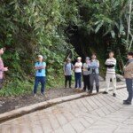 Búsqueda de cangrejos de agua dulce