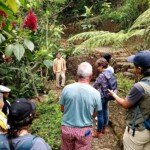 Recorridos Suroeste Biodiverso 2025